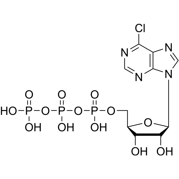 6-Cl-PuTP 55673-61-5